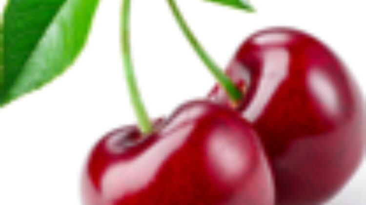 Volunteer Michiko Higgins