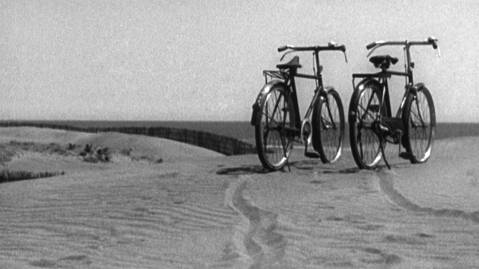 two bicycles parked on a sand dune next to the ocean