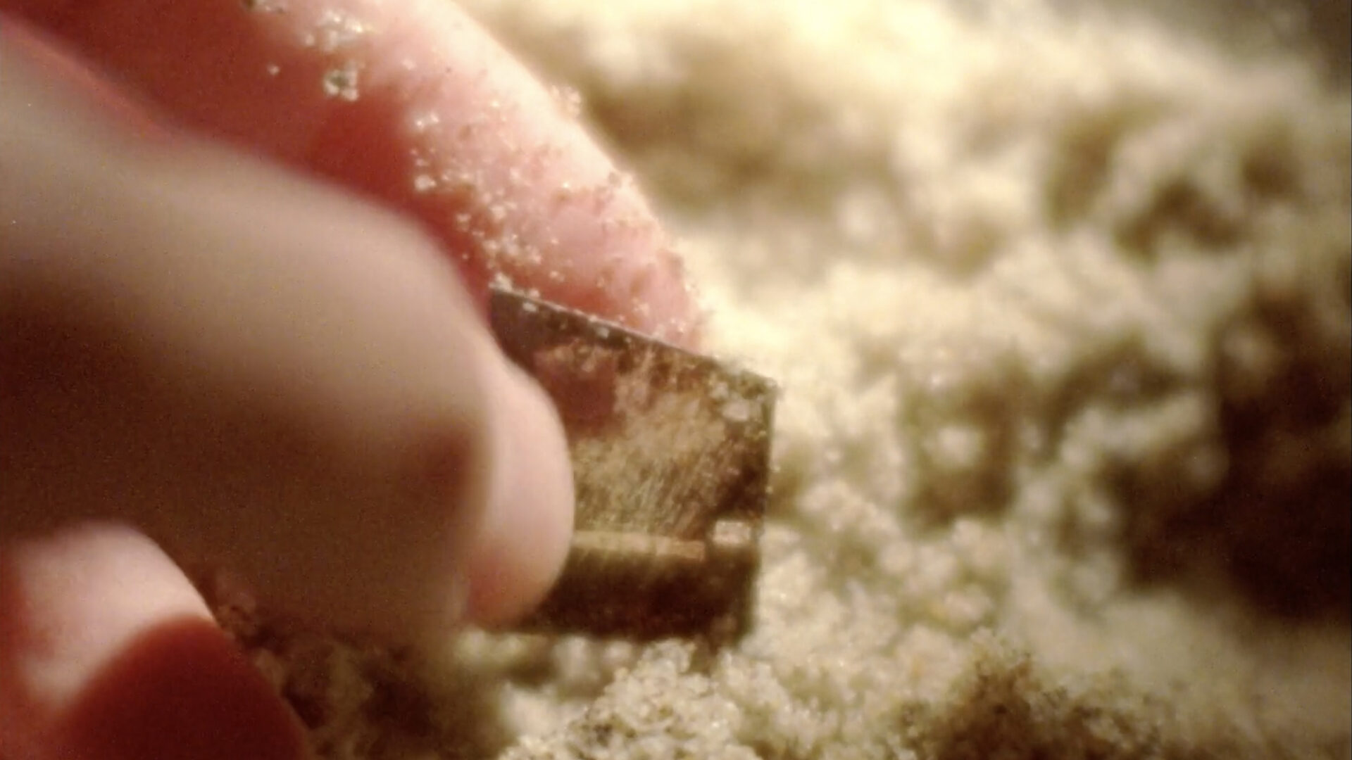 It Follows It Passes On