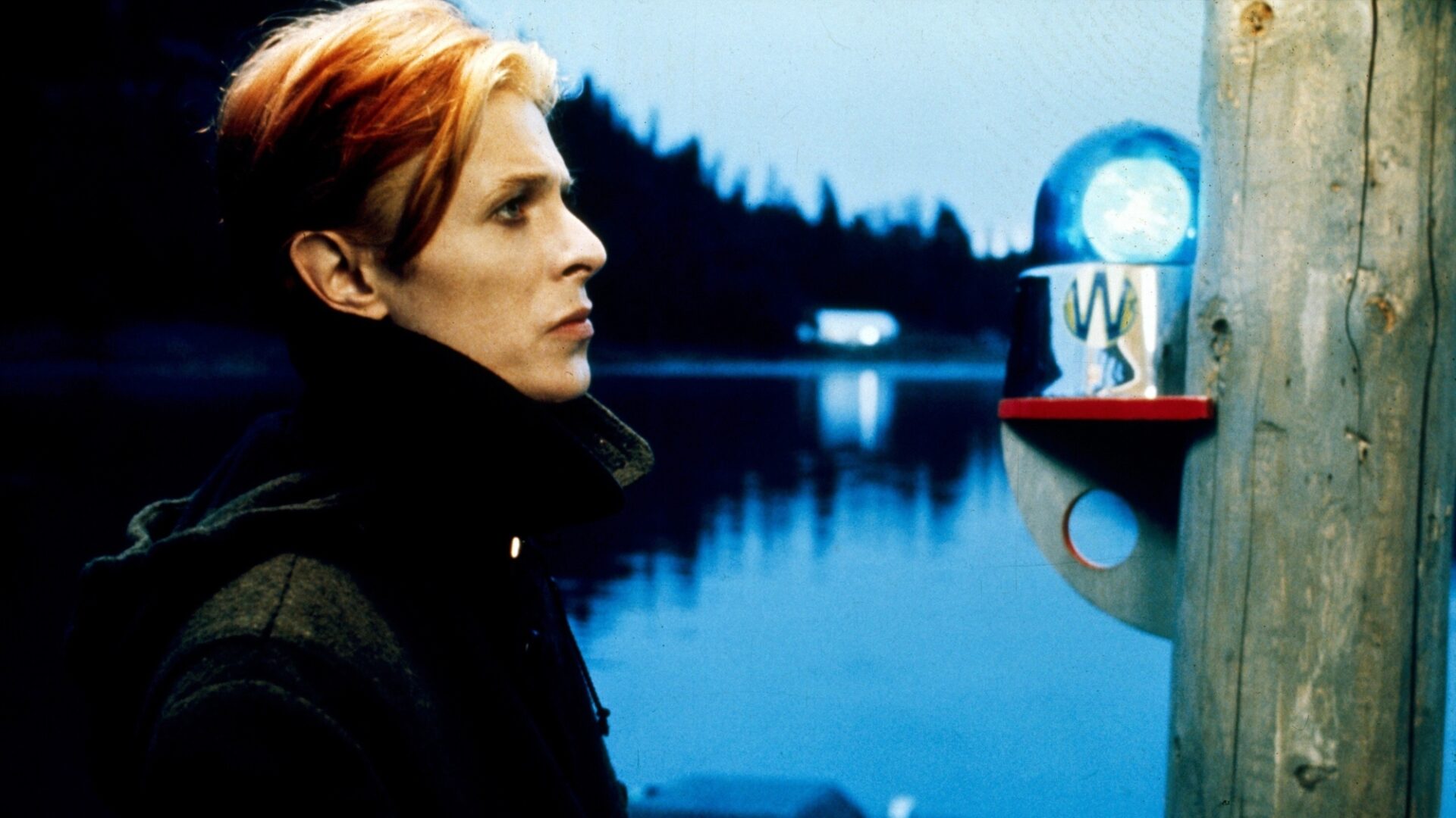 Man Who Fell To Earth 1