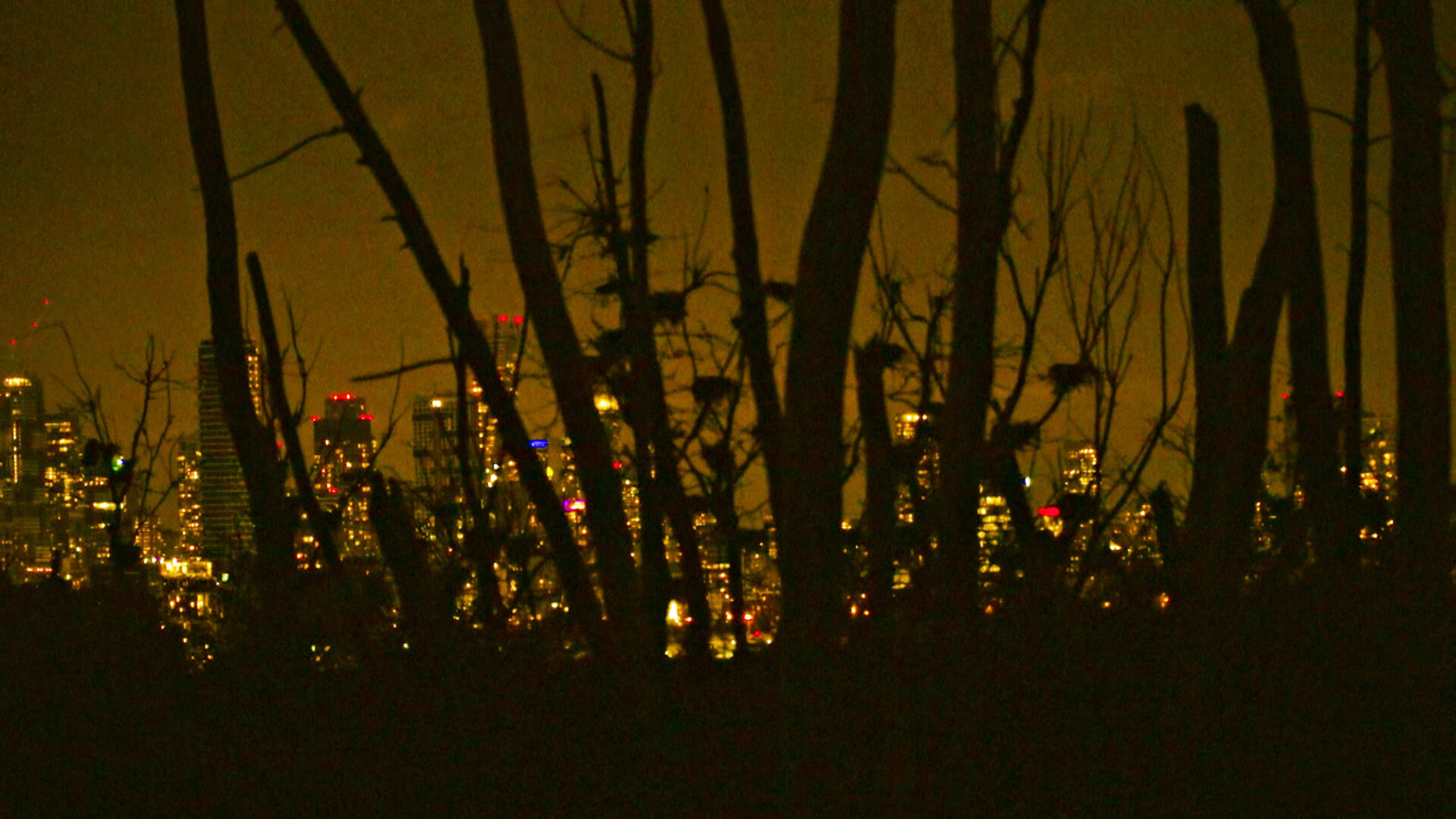 While The Green Grass Grows 1