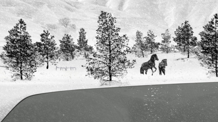 24 Frames Website