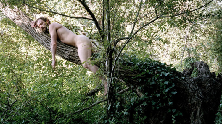 Naked on tree website