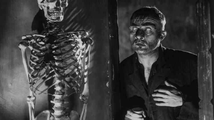 Bride Of Frankenstein 3