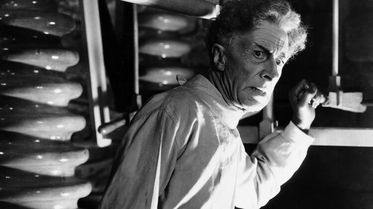 Bride Of Frankenstein 8