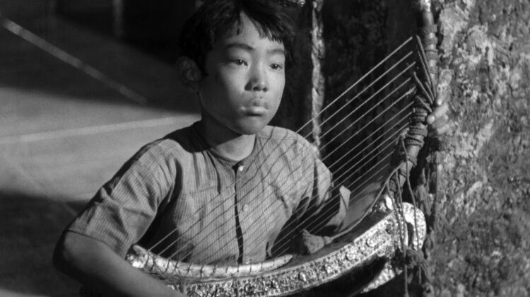 Burmese Harp 5