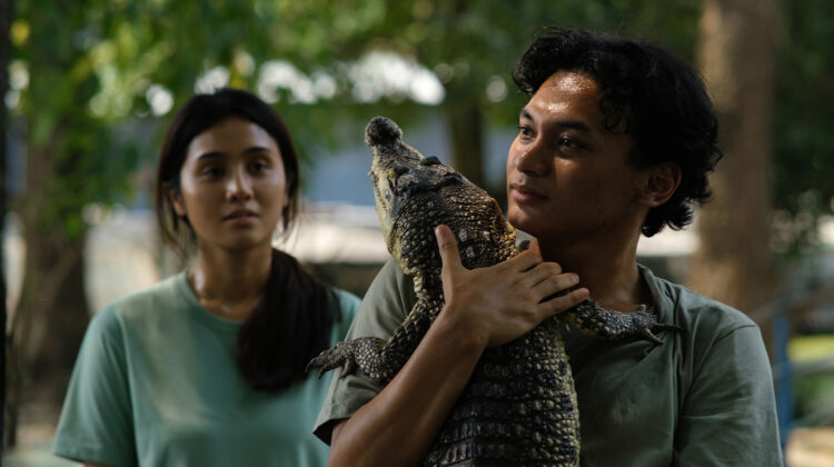 Crocodile Tears 2