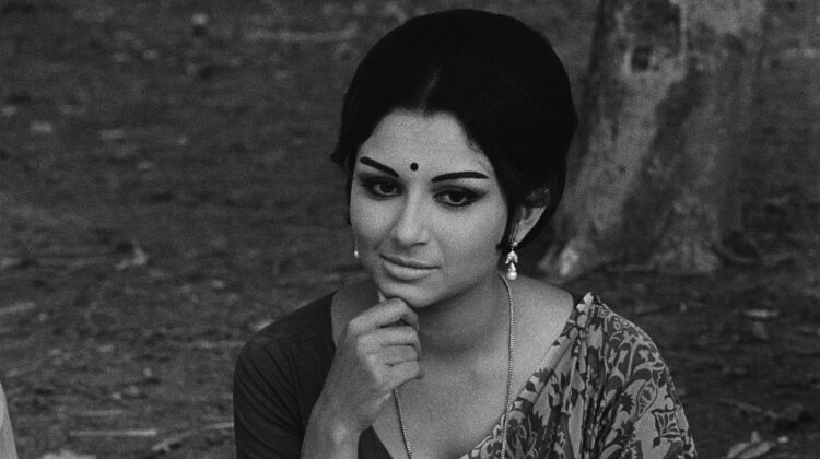 Days And Nights In Forest 1