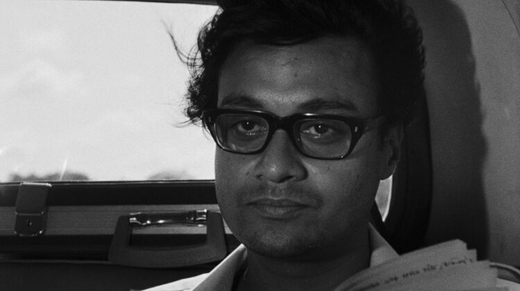 Days And Nights In Forest 6