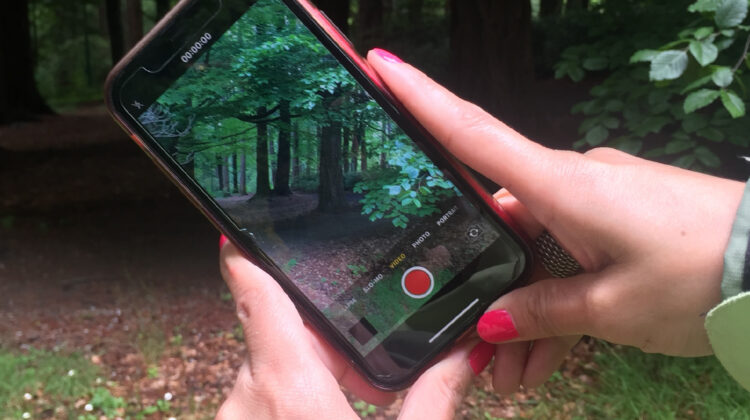 Eco Stories web
