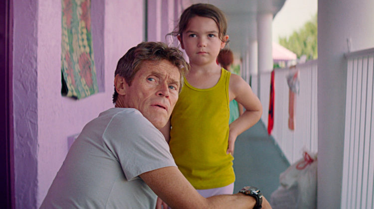 Florida Project 3 Website