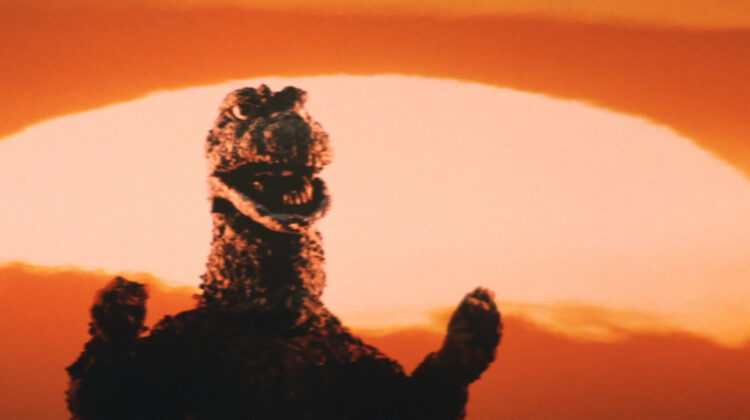 Godzilla Vs Hedorah 1