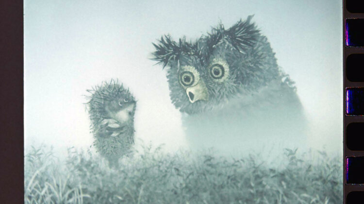 Hedgehog In The Fog 1