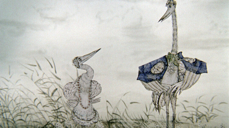 Heron And Crane 2