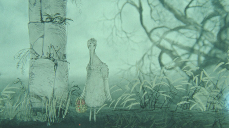 Heron And Crane 4