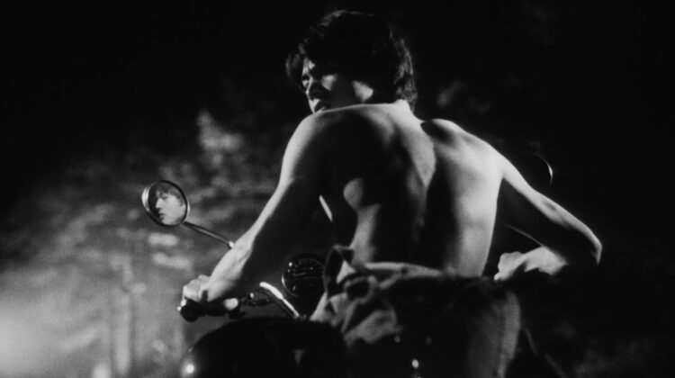 His Motorbike Her Island 2