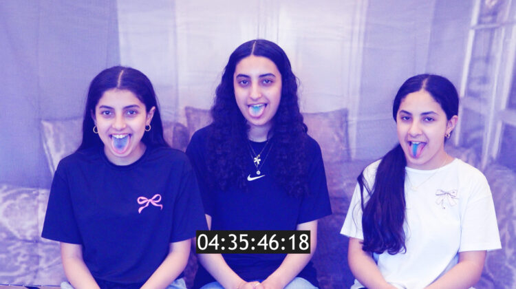 In Search of Bluer Tongues Still 2