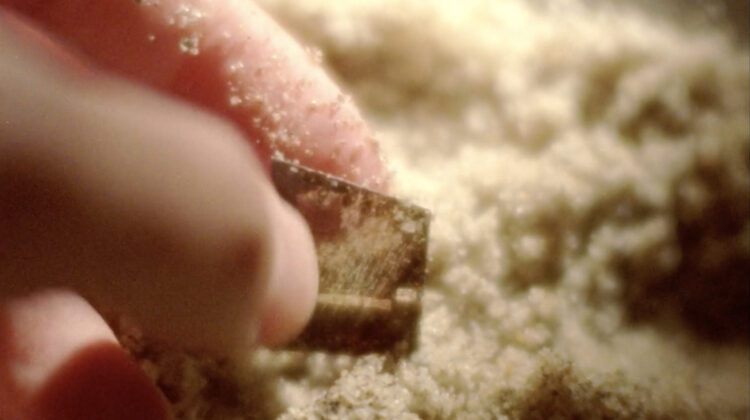 It Follows It Passes On