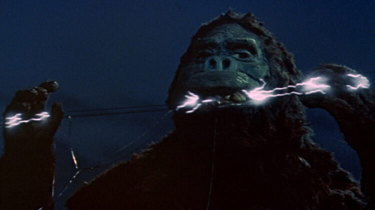 King Kong Vs Godzilla 4