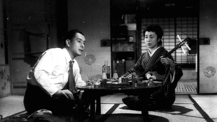 Late Chrysanthemums 1