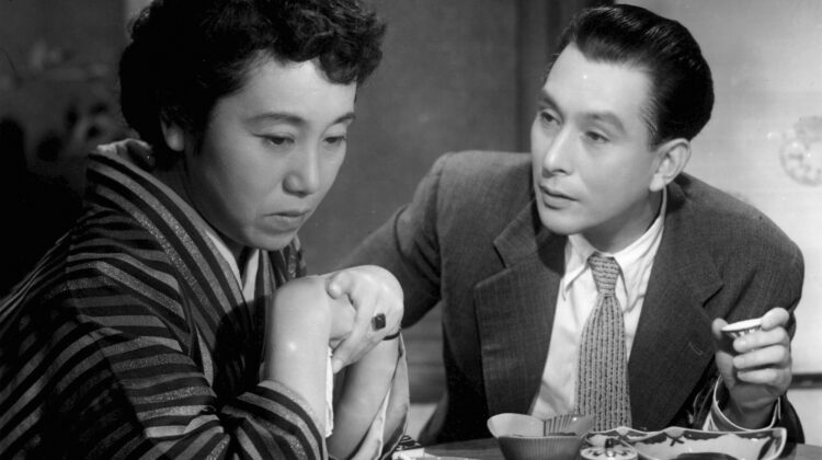 Late Chrysanthemums 2