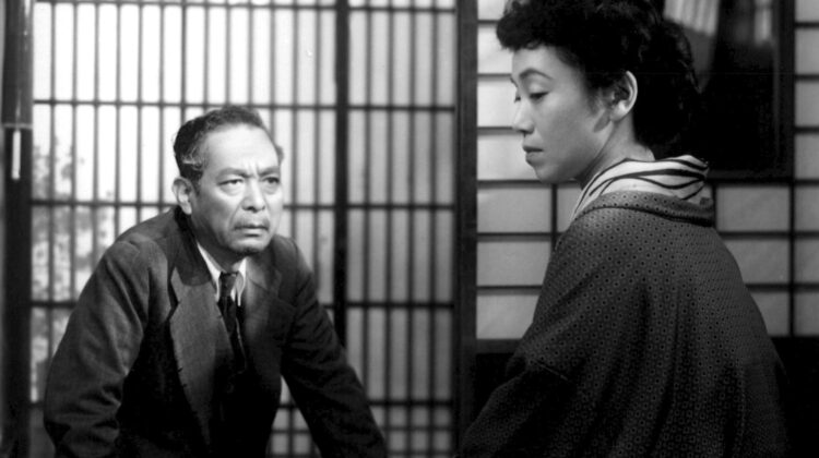 Late Chrysanthemums 3