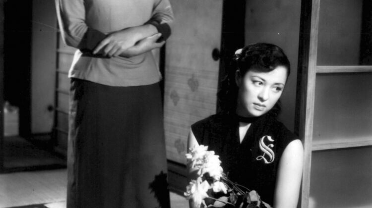 Late Chrysanthemums 4