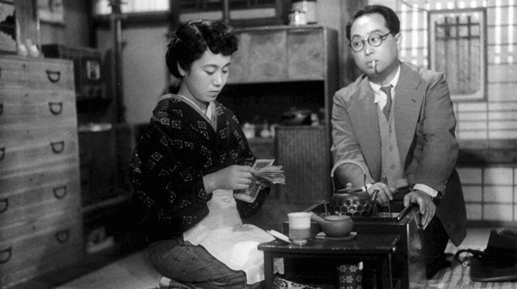 Late Chrysanthemums 5