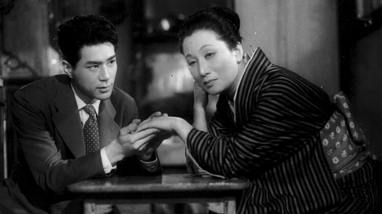 Late Chrysanthemums 6