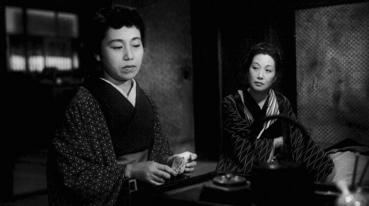 Late Chrysanthemums 7