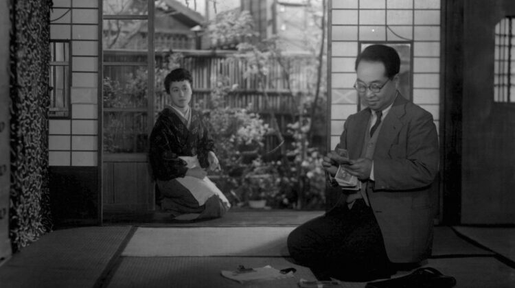 Late Chrysanthemums 8