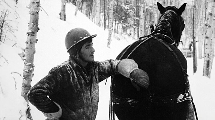 Manouane River Lumberjacks