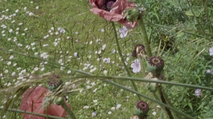 Memory Picture Palace House 2