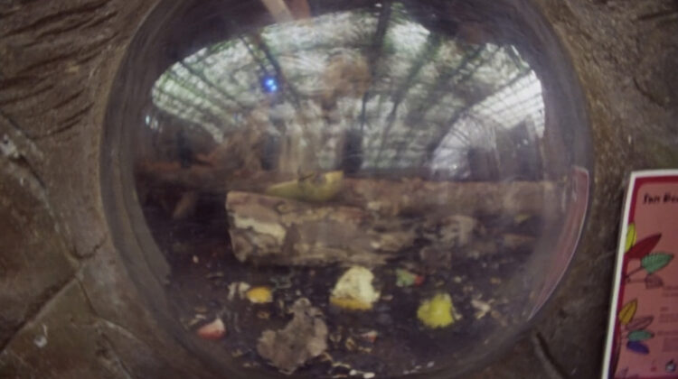 Memory Picture Palace House 3