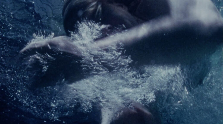 Moons Pool 4