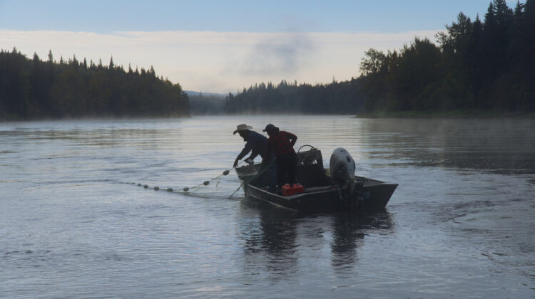 Nechako 5
