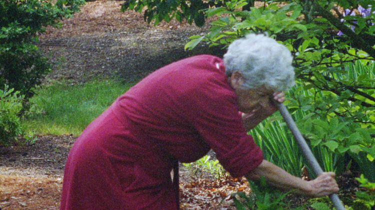 Pitcher Of Colored Light 3