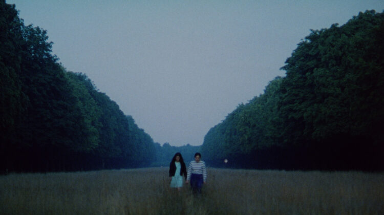 Portrait Of A Young Girl 6