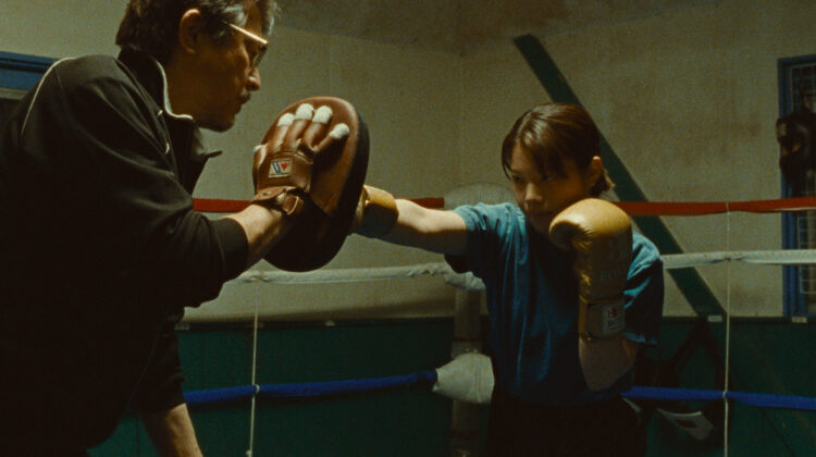 Small Slow But Steady 1