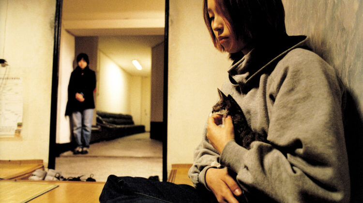 Take Care Of My Cat 3