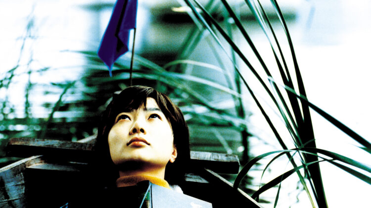 Take Care Of My Cat 4