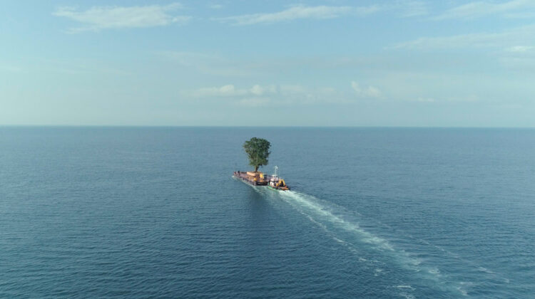 Taming The Garden web1