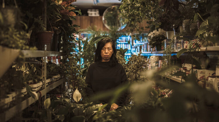 There Are No Words 1