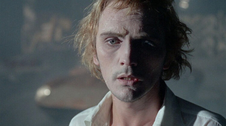 Tony Dammit web2