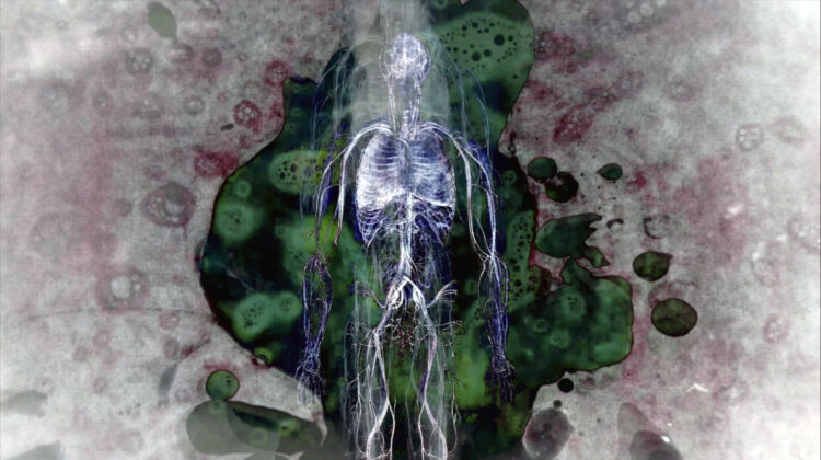 While The Green Grass Grows 3