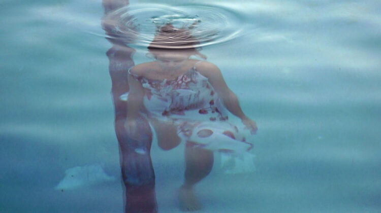 While The Green Grass Grows 4