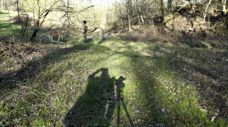 While The Green Grass Grows 5