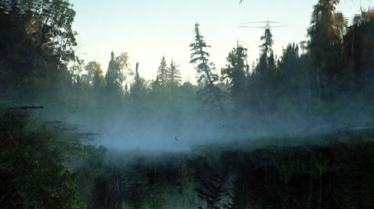 While The Green Grass Grows 6