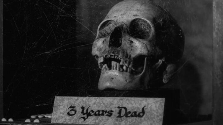 Young Frankenstein 6