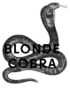 Blonde Cobra Logo Black Text